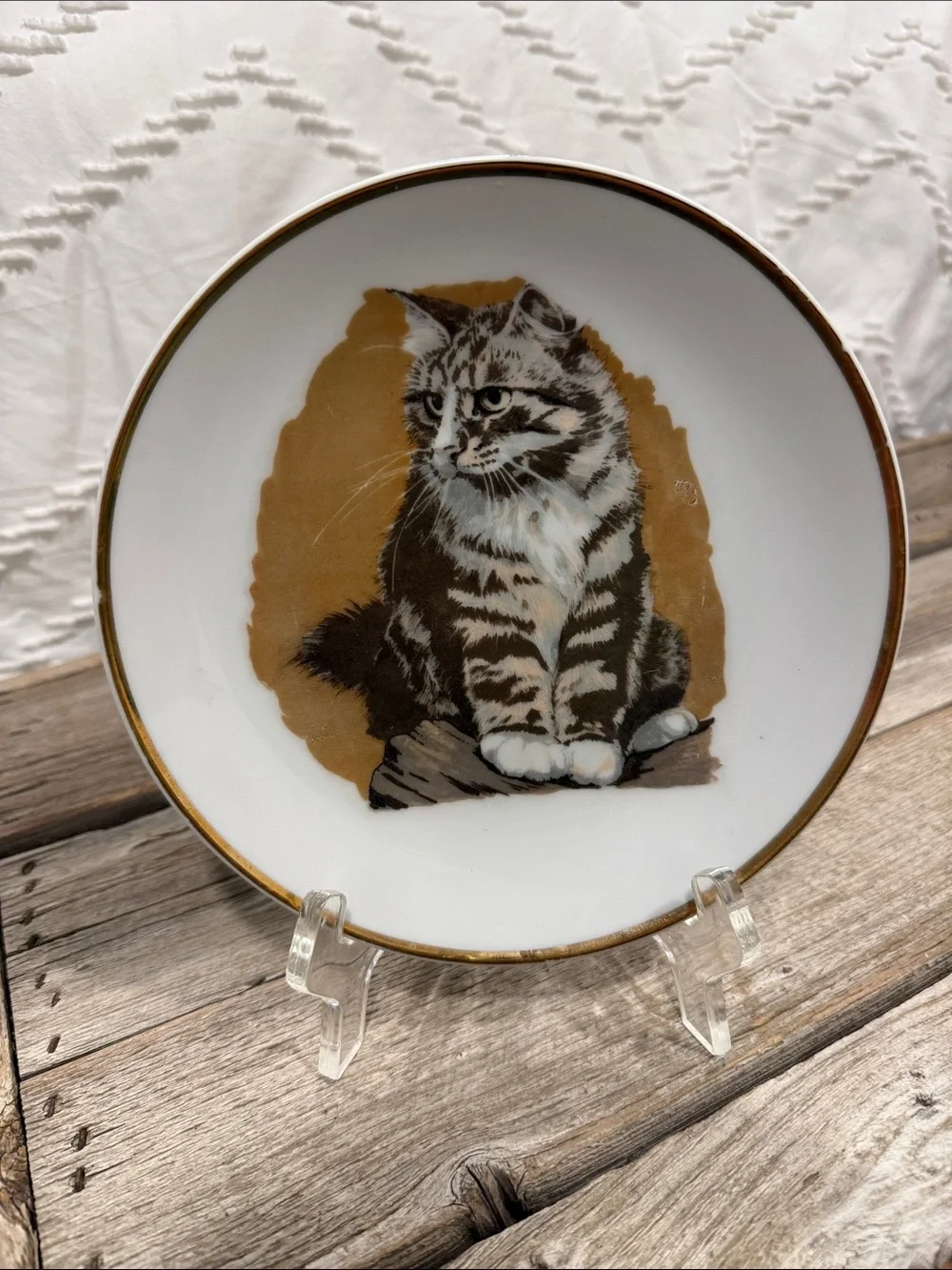 Vintage Made in Japan Tabby Cat Decorative Wall Plate Gold Trim 7” Kitten Decor